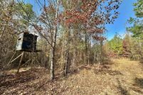 Undeveloped Land for sale in Attala County, Mississippi