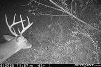 Undeveloped Land for sale in Dallas County, Alabama