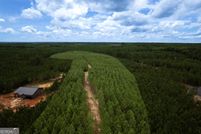 Undeveloped Land for sale in Monroe County, Georgia