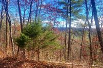 Undeveloped Land for sale in Shenandoah County, Virginia