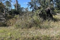 Undeveloped Land for sale in Lowndes County, Georgia