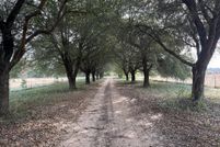 Land for sale in Henry County, Alabama