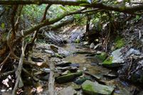 Land for sale in Stokes County, North Carolina