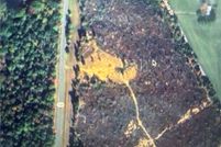 Land for sale in Montgomery County, North Carolina