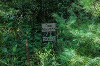 Homesite for sale in Wilkes County, North Carolina