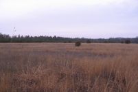 Land for sale in Crawford County, Michigan