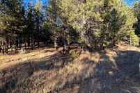 Land for sale in Colfax County, New Mexico