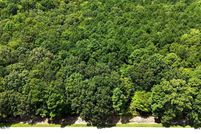 Undeveloped Land for sale in Perquimans County, North Carolina