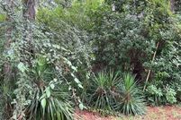 Land for sale in Edgecombe County, North Carolina