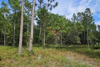 Land for sale in Onslow County, North Carolina