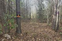 Land for sale in Columbus County, North Carolina