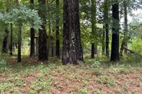 Undeveloped Land for sale in Pender County, North Carolina