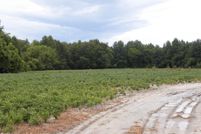 Land for sale in Pitt County, North Carolina