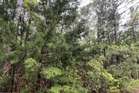 Land for sale in Brunswick County, North Carolina