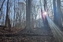 Land for sale in Martin County, North Carolina