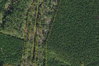 Land for sale in Beaufort County, North Carolina