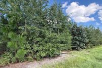 Land for sale in Scotland County, North Carolina