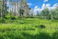 Undeveloped Land for sale in Mesa County, Colorado