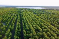 Land for sale in Comanche County, Texas