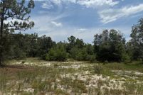 Land for sale in Putnam County, Florida