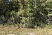 Land for sale in Levy County, Florida
