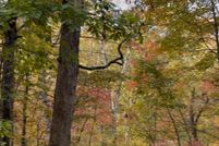 Land for sale in Pickens County, Georgia