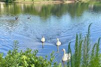 Land for sale in Gwinnett County, Georgia