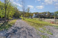 Undeveloped Land for sale in Schuylkill County, Pennsylvania