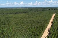 Undeveloped Land for sale in Appling County, Georgia