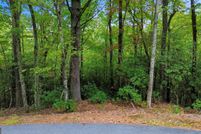 Undeveloped Land for sale in White County, Georgia
