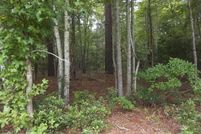 Homesite for sale in Currituck County, North Carolina