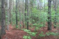 Land for sale in Sampson County, North Carolina