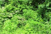 Land for sale in Sampson County, North Carolina