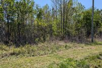 Land for sale in Duplin County, North Carolina