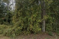 Undeveloped Land for sale in Wayne County, North Carolina