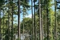 Homesite for sale in Pamlico County, North Carolina