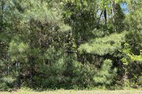 Homesite for sale in Scotland County, North Carolina