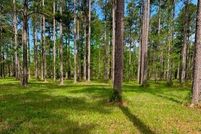 Land for sale in Pamlico County, North Carolina
