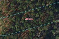 Undeveloped Land for sale in Pamlico County, North Carolina