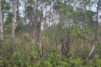 Land for sale in Pender County, North Carolina