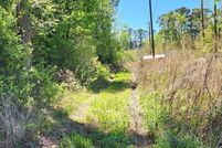 Land for sale in Bertie County, North Carolina