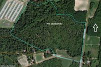 Undeveloped Land for sale in Sampson County, North Carolina