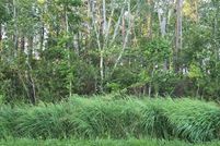 Land for sale in Pasquotank County, North Carolina