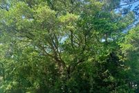 Land for sale in Brunswick County, North Carolina