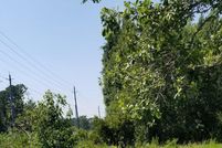 Land for sale in Pender County, North Carolina