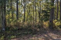 Land for sale in Martin County, North Carolina