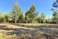 Undeveloped Land for sale in Madison County, Mississippi