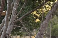 Waterfront Property for sale in Collier County, Florida