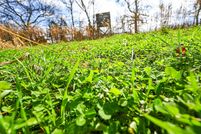 Farm and Ranch for sale in Douglas County, Missouri