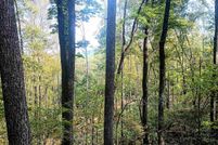 Land for sale in Nelson County, Virginia